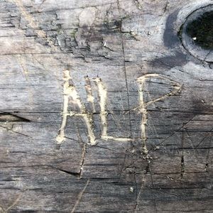 Meet your Posher, Audrey